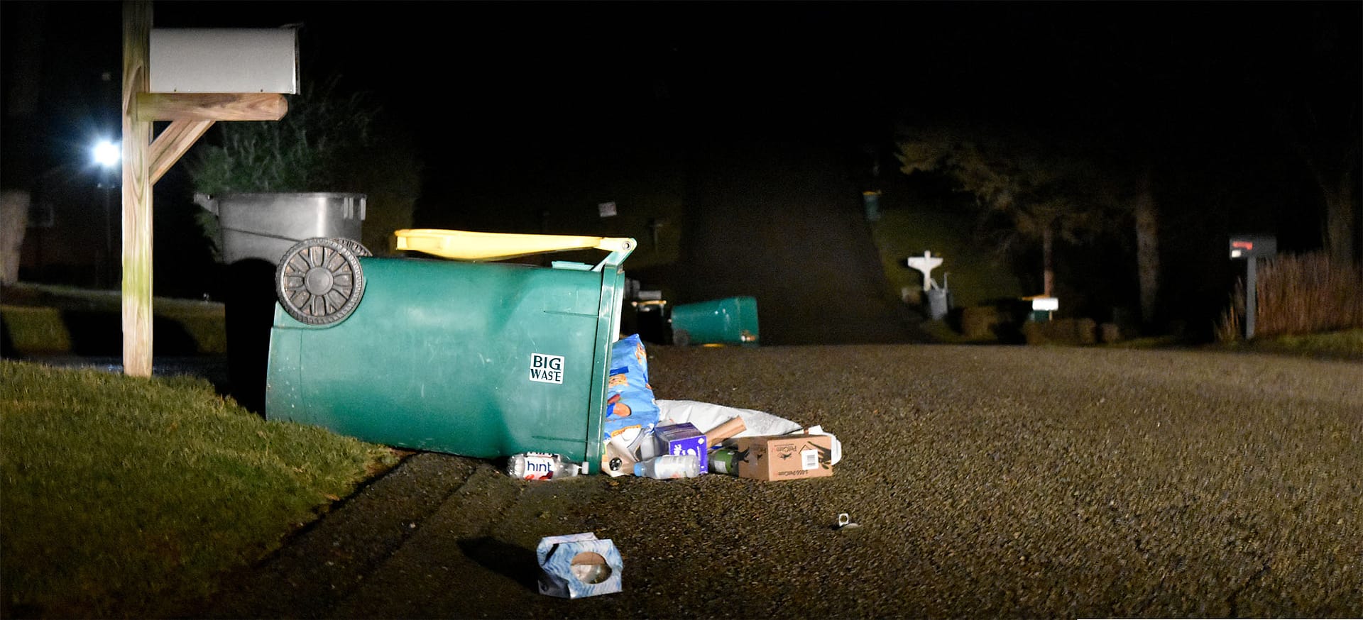 So Your Trash is a Mess