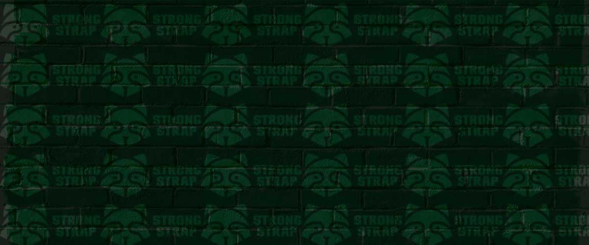 Strong Strap vs. Raccoons