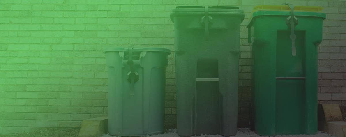 Operation: Clean Trash